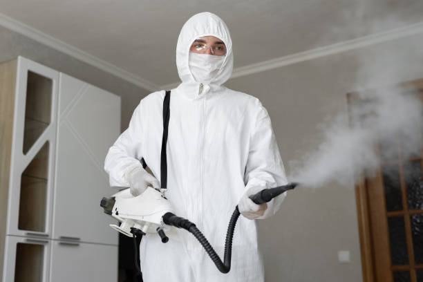 Why You Should Choose Our Mold Remediation Services in Bithlo, FL